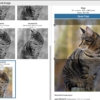 「Crop Thumbnails」サムネイル画像をトリミングできるワードプレスのプラグインにOGPサイズを追加する方法